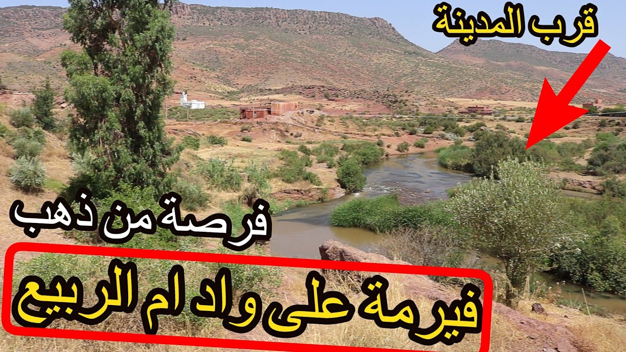 ✨ فيرمة جميلة تطل على واد ام الربيع بالمنزل مجهزة والعديد من اشجار الزيتون المنتجة ✨ خنيفرة