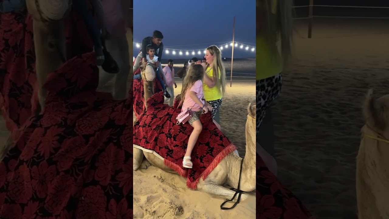 Camel riding Dubai desert safari #saharadesert #love #travel #deserttrip #deserttour #desertsafari