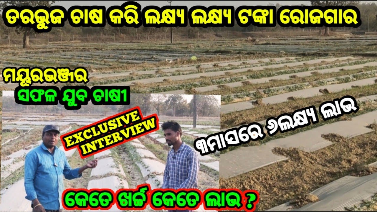 WATER MELON FARMING LAKH LAKH PROFIT SUCCESS FARMER EXCLUSIVE INTERVIEW MAYURBHANJ ODISHA 