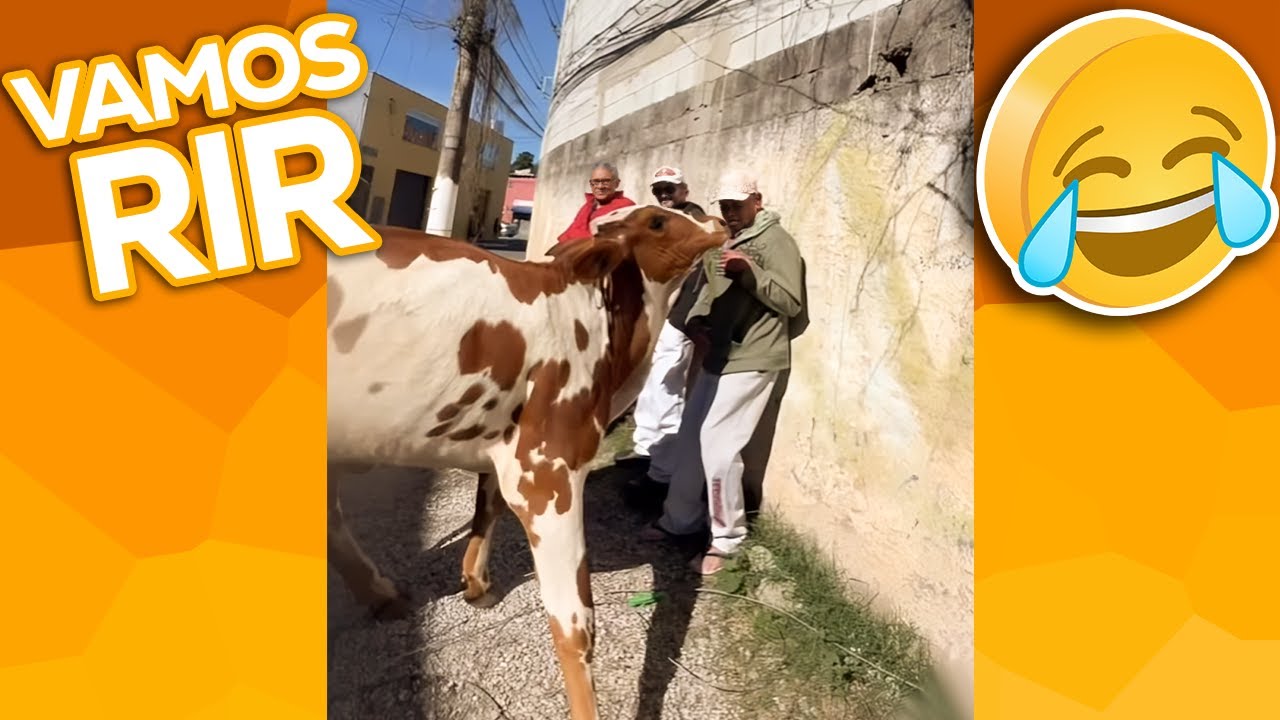 VAMOS RIR 🤣 - aqui os V&Iacute;DEOS ENGRA&Ccedil;ADOS e MEMES 2024