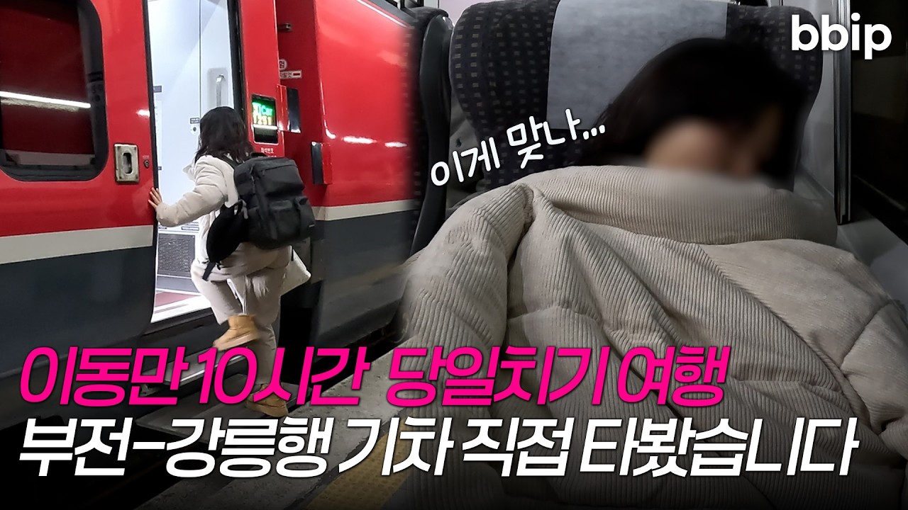 부산에서 기차타고 강릉 당일치기! 강릉 순두부/바다/양떼목장/커피까지 하루만에?ㅣBBIP