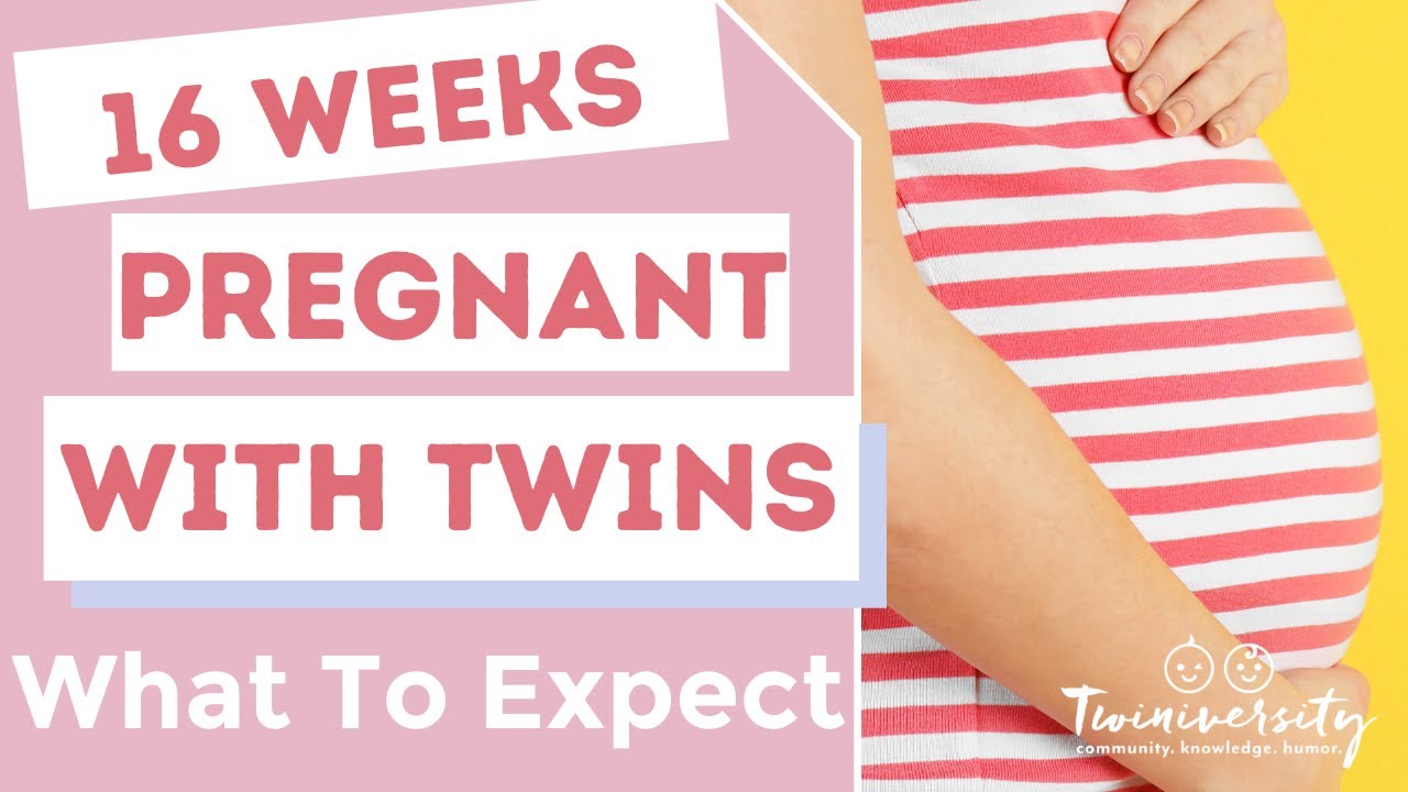 16 Weeks Pregnant With Twins What to Expect