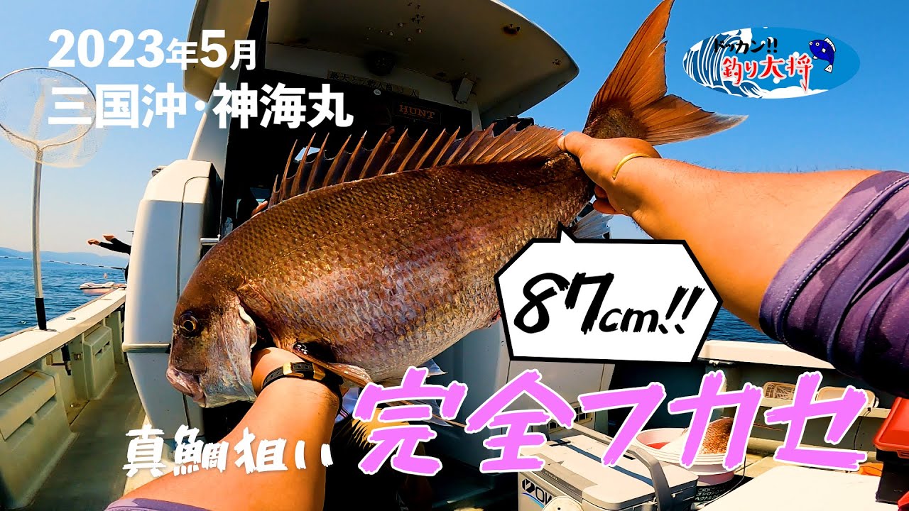 真鯛狙いで完全フカセ釣り！【2023年5月・三国沖・神海丸】