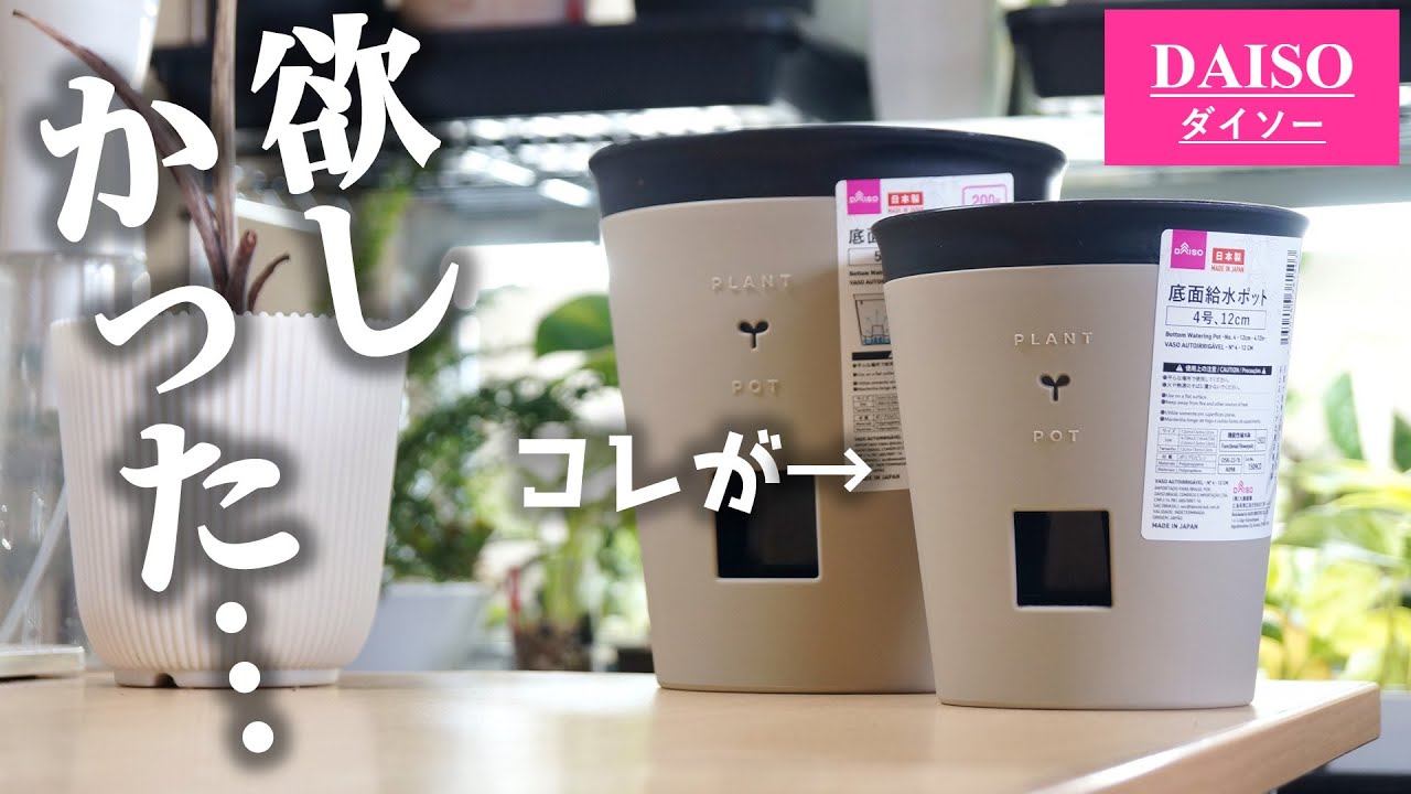100均で発見！水が大好きな観葉植物にピッタリな鉢がこちらです♪【底面給水ポット】