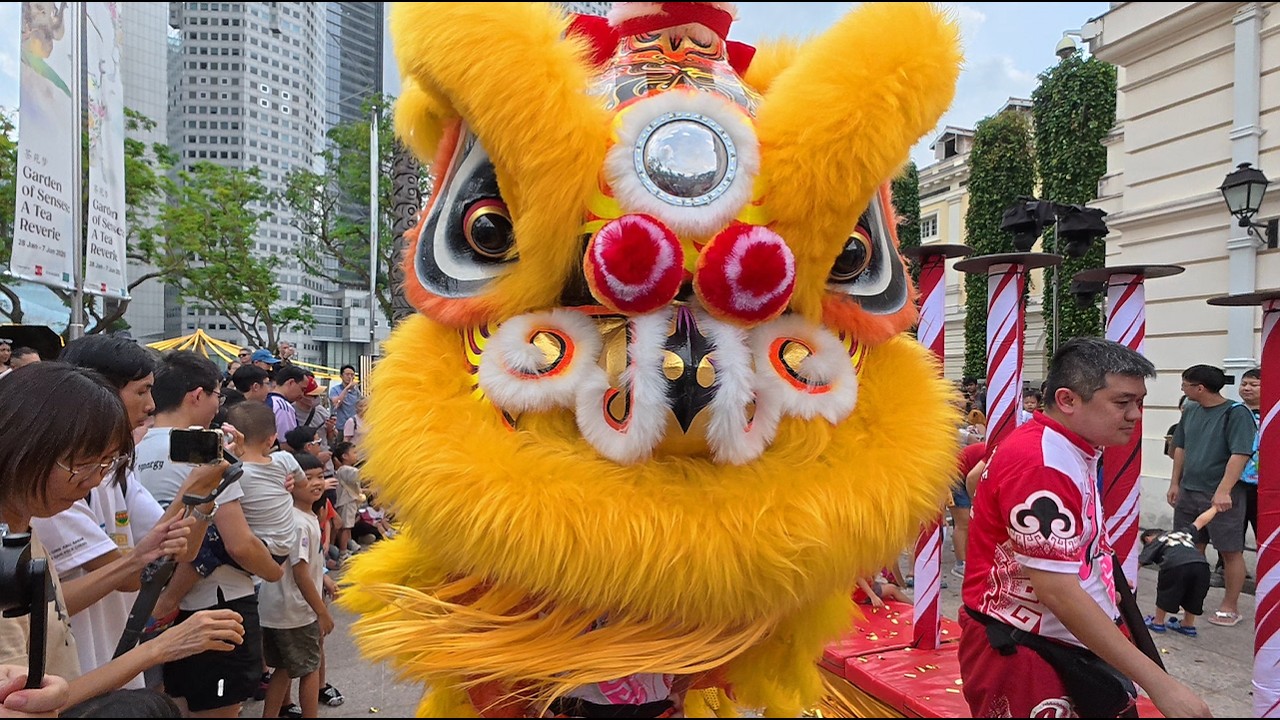 [4K] Singapore Asian Civilisations Museum (ACM) High Pole Lion Dance by Yi Wei (藝威). Pre-CNY 2026.