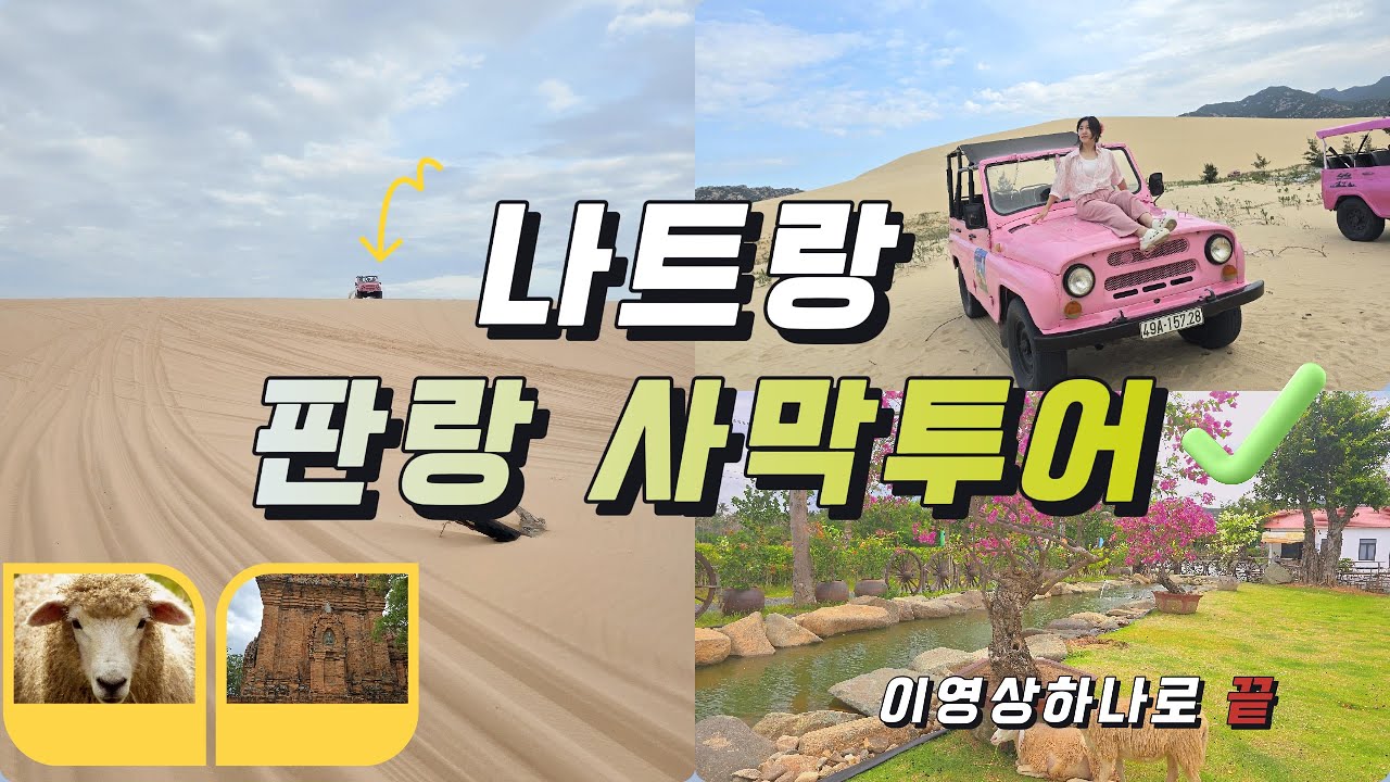 나트랑🇻🇳 판랑 사막투어 🏜 완벽 가이드 | 양떼목장, 포롱자라이, 사막지프차, 보드샌딩 | 사막에서 즐기는 짜릿한 질주