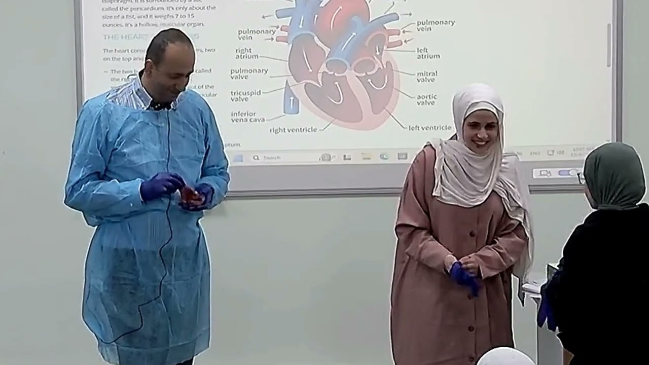 Cardiac Anatomy   Dr Mohammad Ayoub   Heat Stress in Farm Animals Research