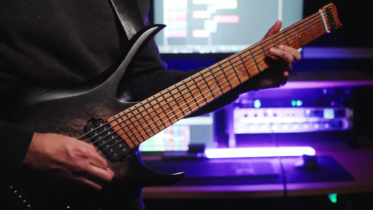 The Misanthropist - Humans as Slaves (NK 7 String Headless)