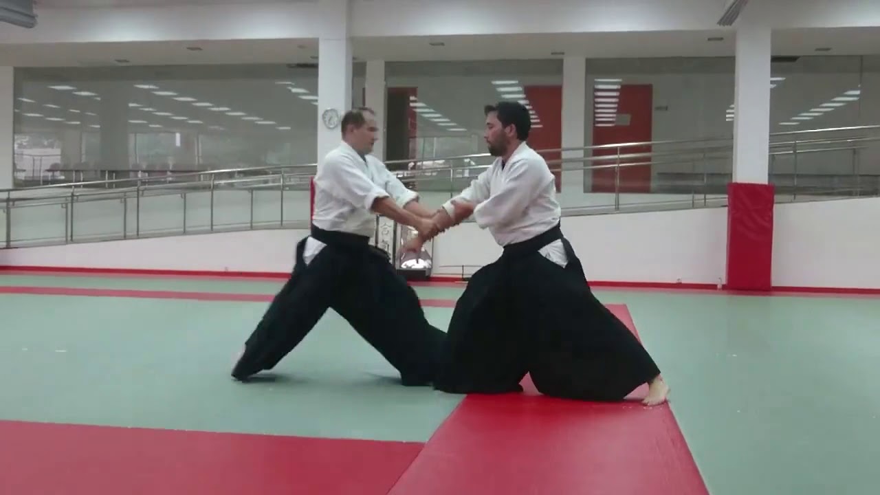 Curso de Aikido impartido por Shu Kitaura Sensei. Julio de 2018 en San Sebastián.
