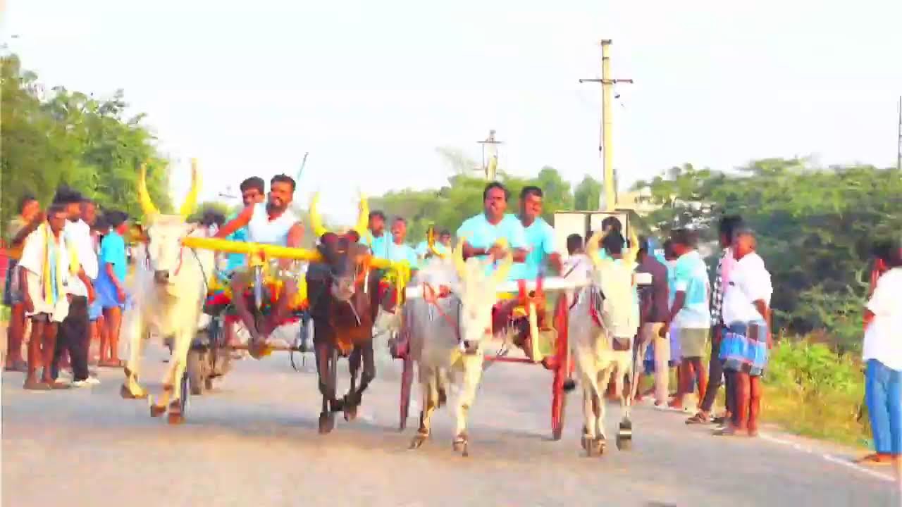 live  புதூர் பாண்டியாபுரம்பூஞ்சிட்டு 2-ம் சுற்று 28-02-2026