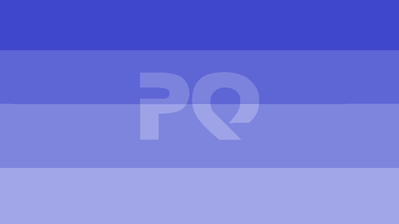 Phallic Questionar Airliner 2.0 Logo (11.01.2017)