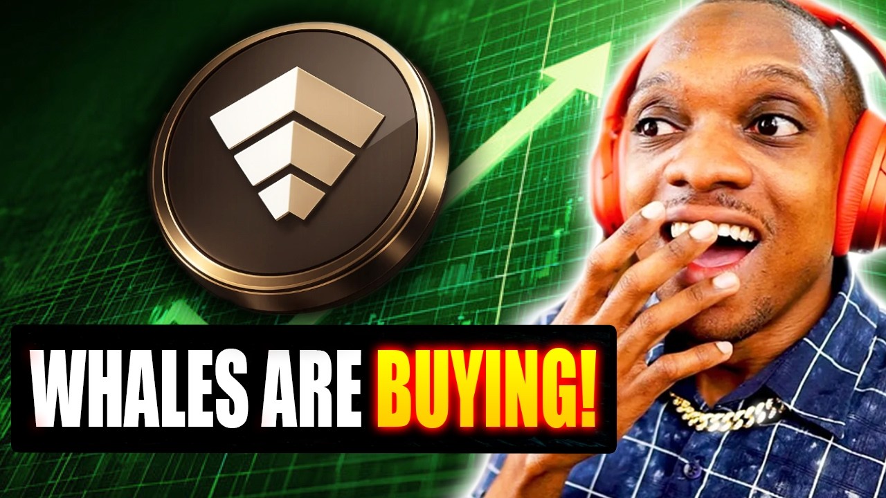 The Crypto Whales Are Buying $CHIP (USD.AI Early Alpha Review)