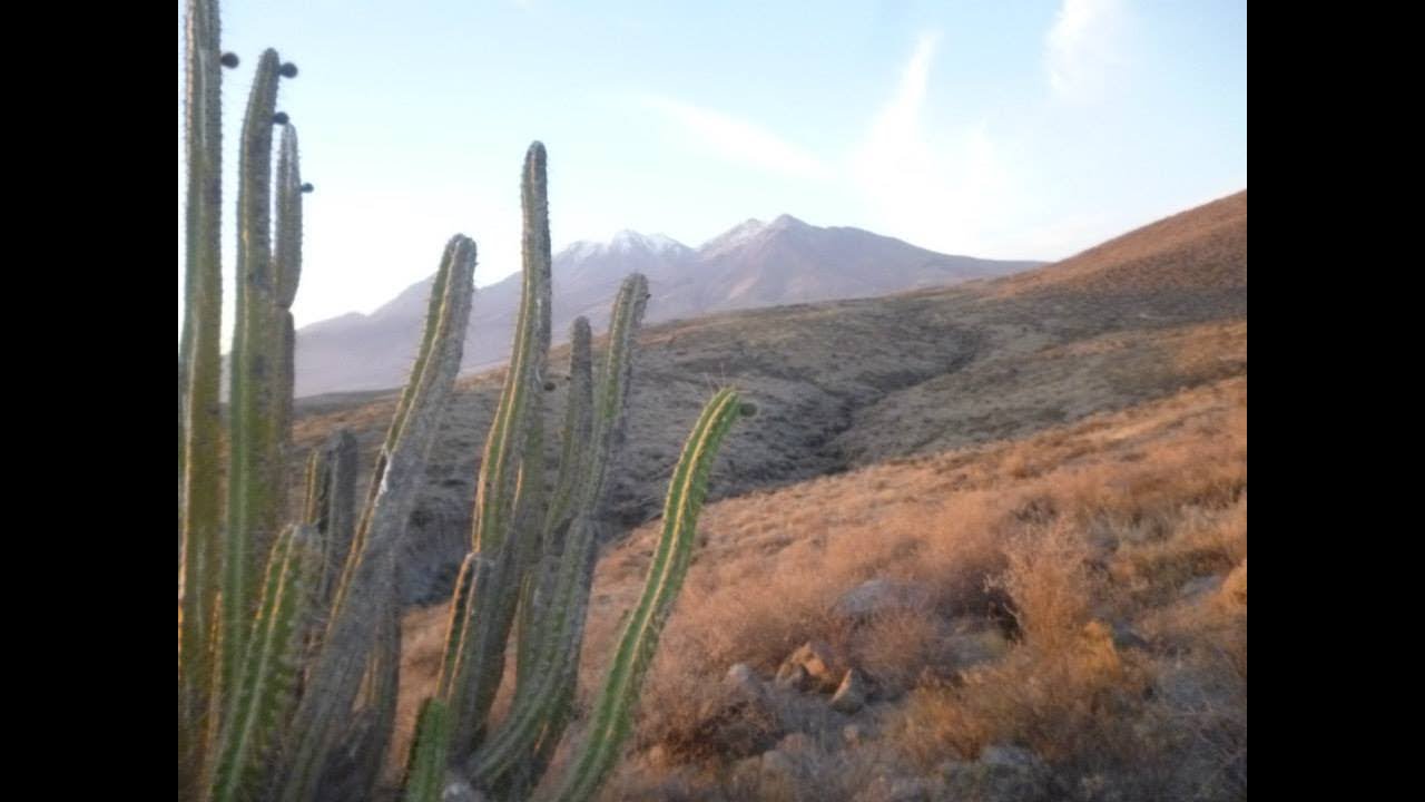 Chachani - Los Mistianos - Arequipa