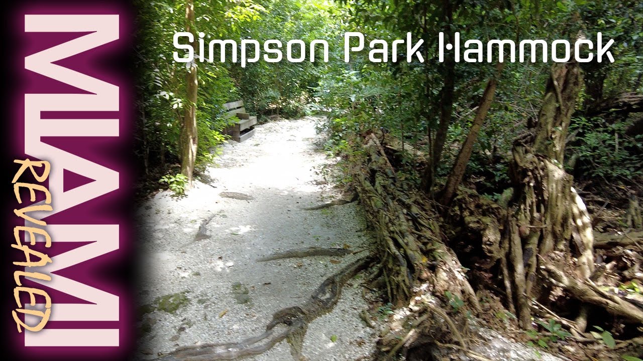 Simpson Park Hammock (4K)