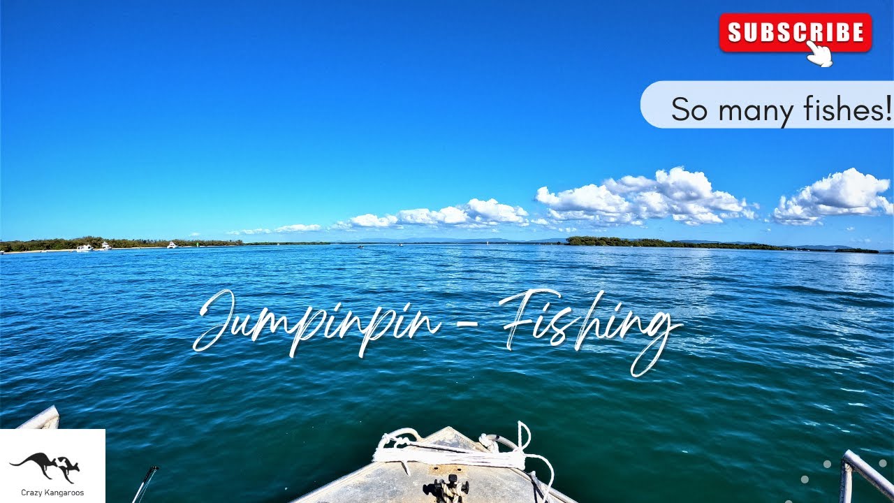 Plenty of fish in Jacobs Well, Jumpinpin, Gold Coast!