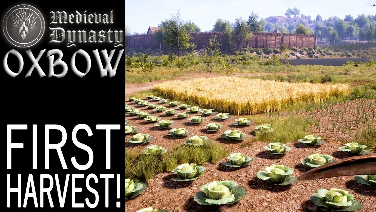 First Harvest! | Oxbow | Medieval Dynasty Gameplay | EP 8