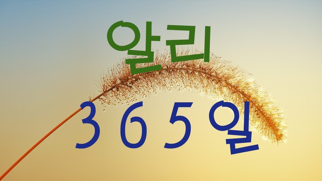 가요, 알리 - 365일,  반복듣기, 가사첨부,   7080, 8090, 국내가요, 한국가요, KPOP, 韓国の歌