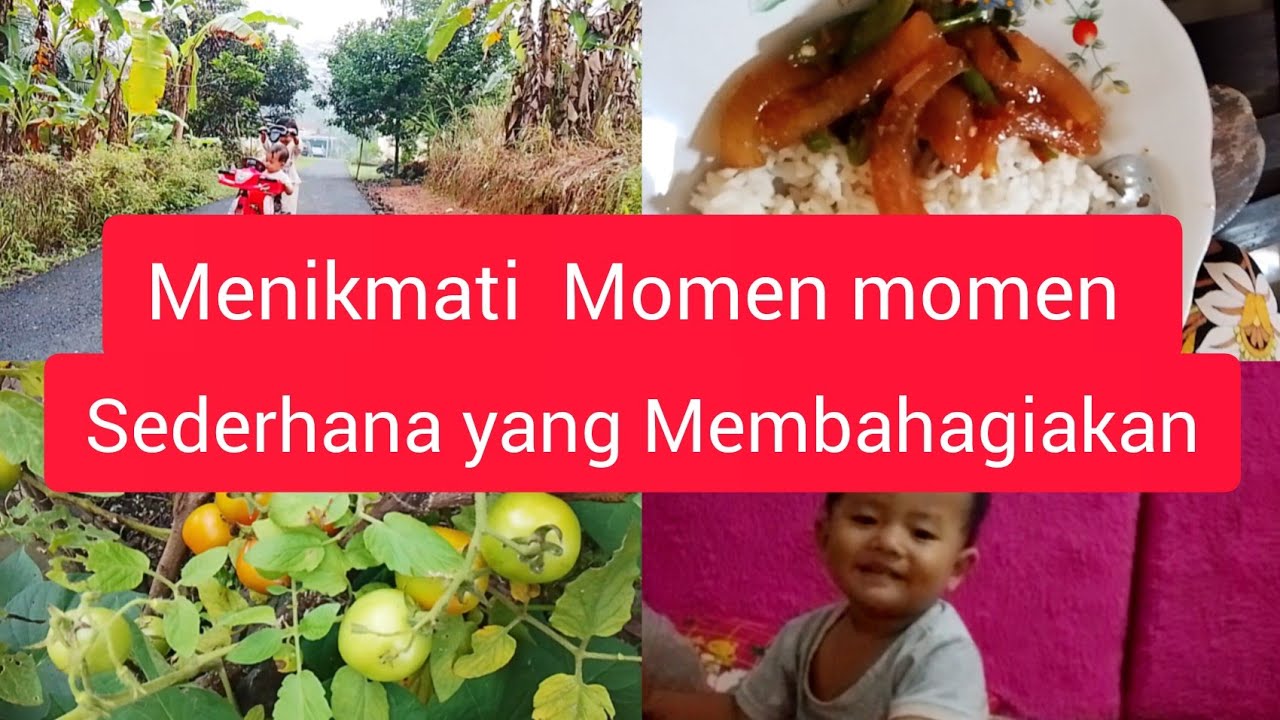 Hidup Sederhana di Desa || menemukan kebahagiaan dalam kesederhanaan || Pemeran utama
