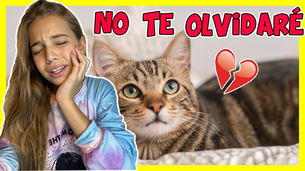 ADIÓS A MI MASCOTA 😭 ADOPTÉ UN GATO CALLEJERO Y PASA ESTO - STORYTIME / El mundo de Indy