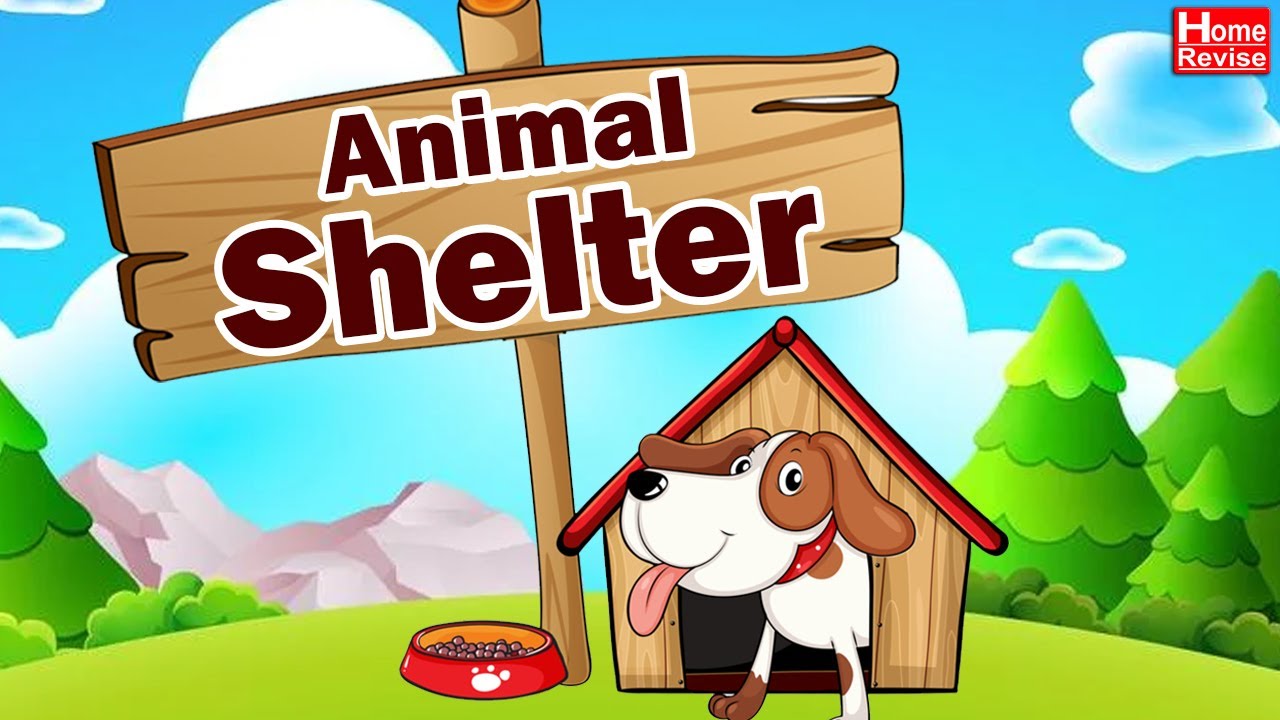 Animal Shelter | Class 3 | EVS | English Medium | Maharashtra State Board | Home Revise
