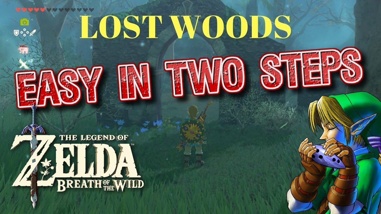 zelda breath of the wild the lost woods walkthrough