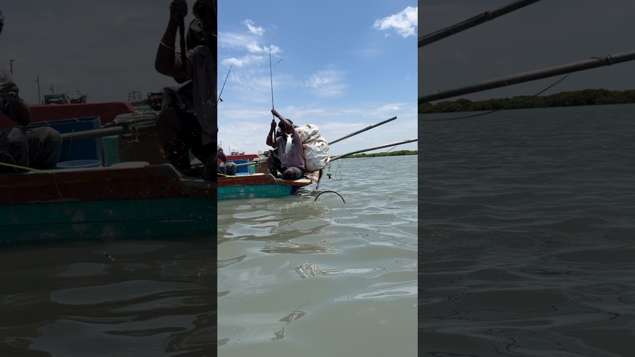 Village Fishermen Catch Mullet Fishing