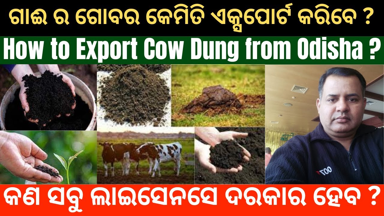 How to Export Cow Dung from Odisha: Step-by-Step Guide #odisha #odia #bhubaneswar #export #trade