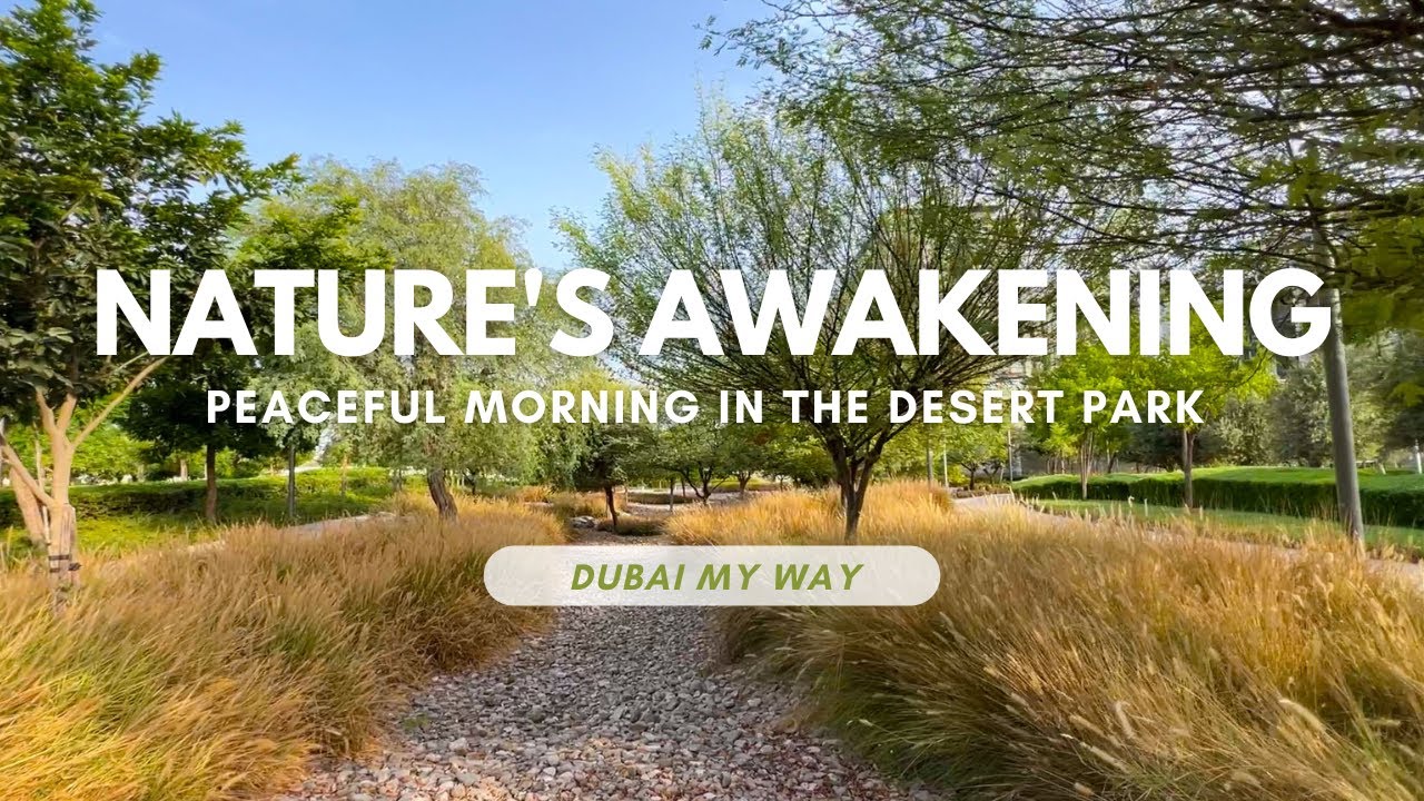 Peaceful Morning in the Desert Park