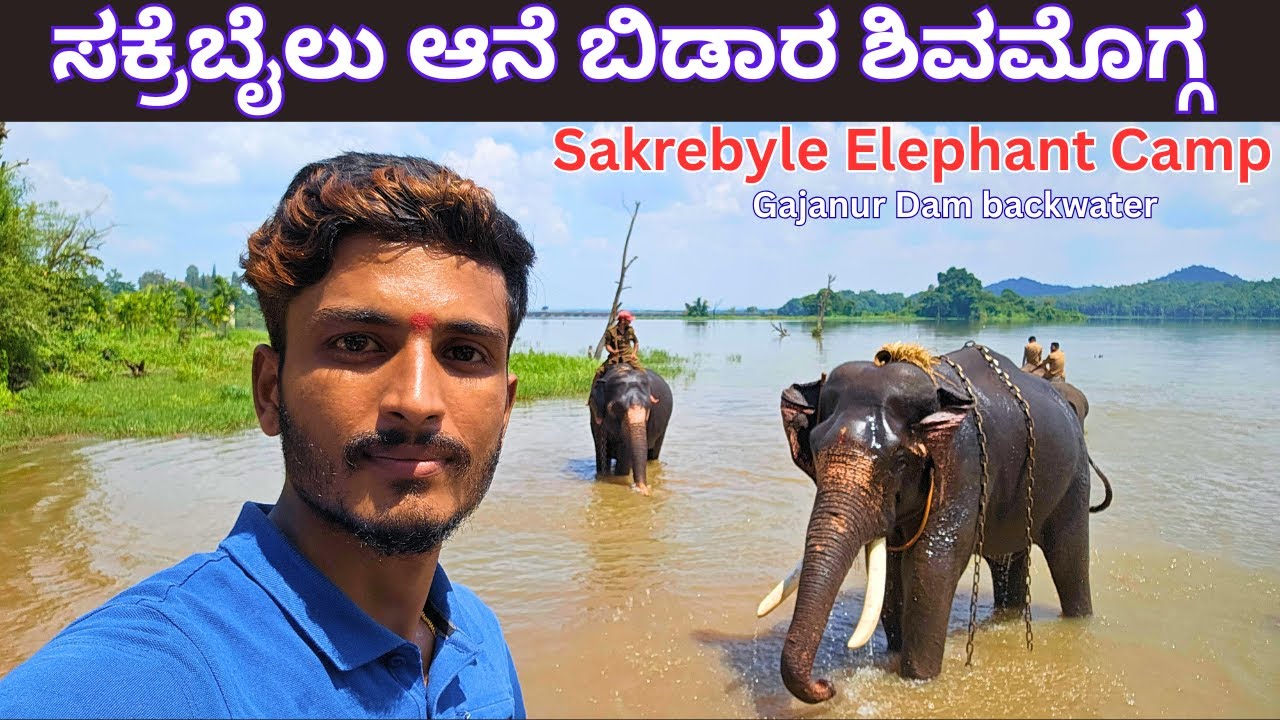ಸಕ್ರೆಬೈಲು ಆನೆ ಬಿಡಾರ | Sakrebyle Elephant Camp #shivamogga #sakrebailu #kannadavedios #travelvlog