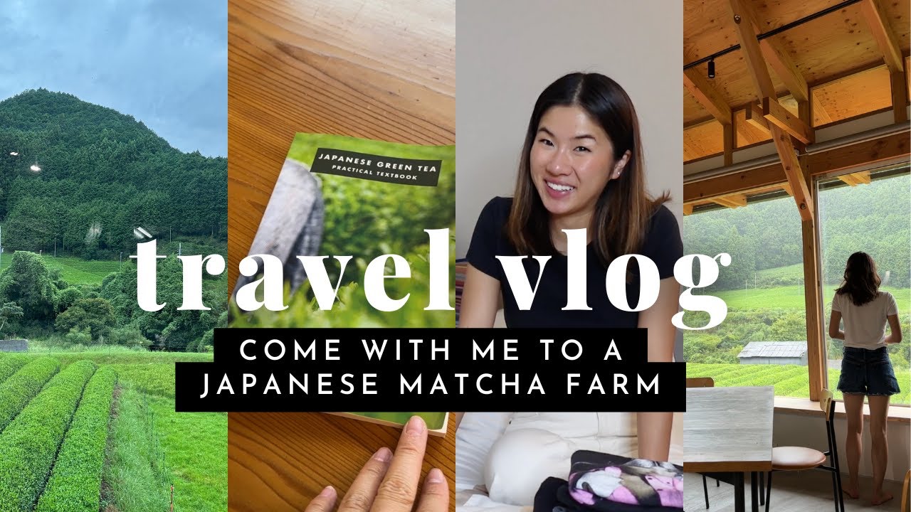 Ep 1: Stanford Internship on a Matcha Farm | Travel Vlog