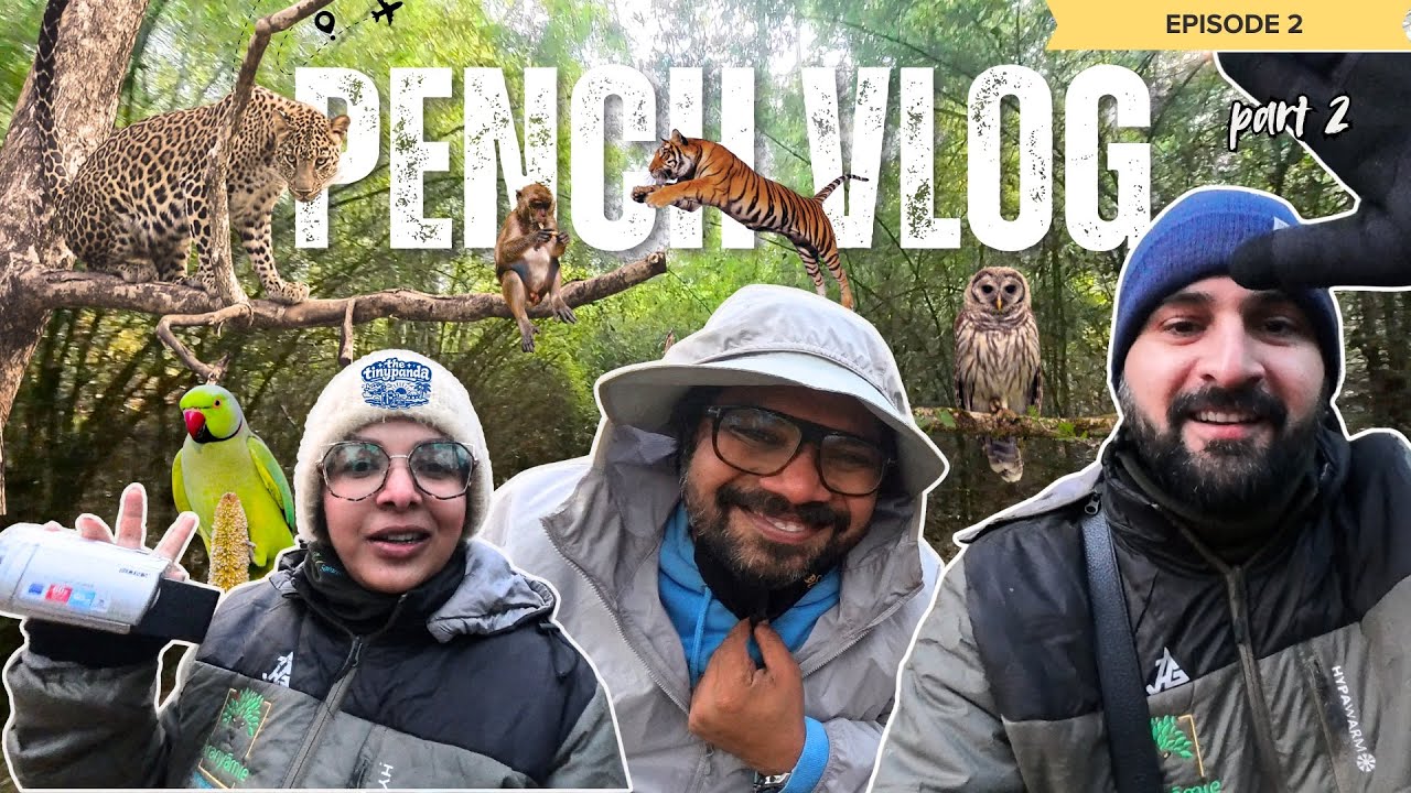 Pench Safari Vlog part 2