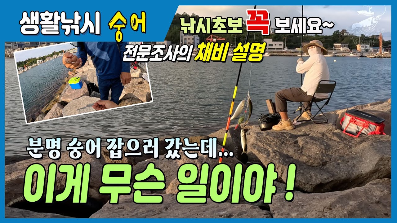 🐟.분명 숭어 잡으러 갔는데... 이게 무슨일? 🤔 전문조사의 숭어 채비법 설명 [길샘낚시] 🎣