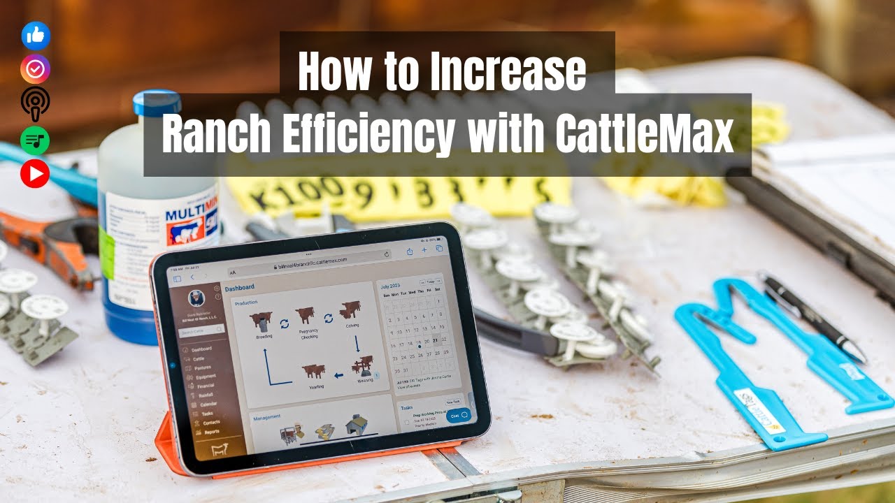 Новый год, новые цели: как повысить эффективность ранчо с помощью CattleMax