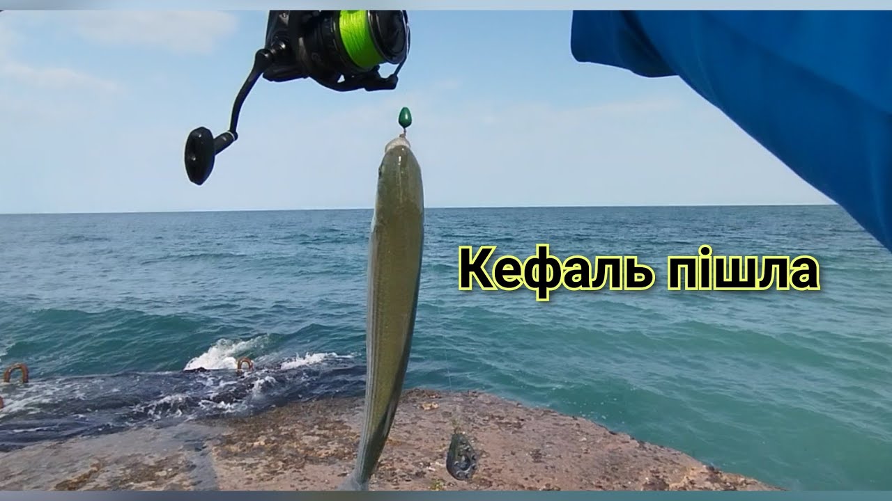 Риболовля на Кефаль та Ставріду.Спіймав 6 видів риб.Чорне море Одеса.