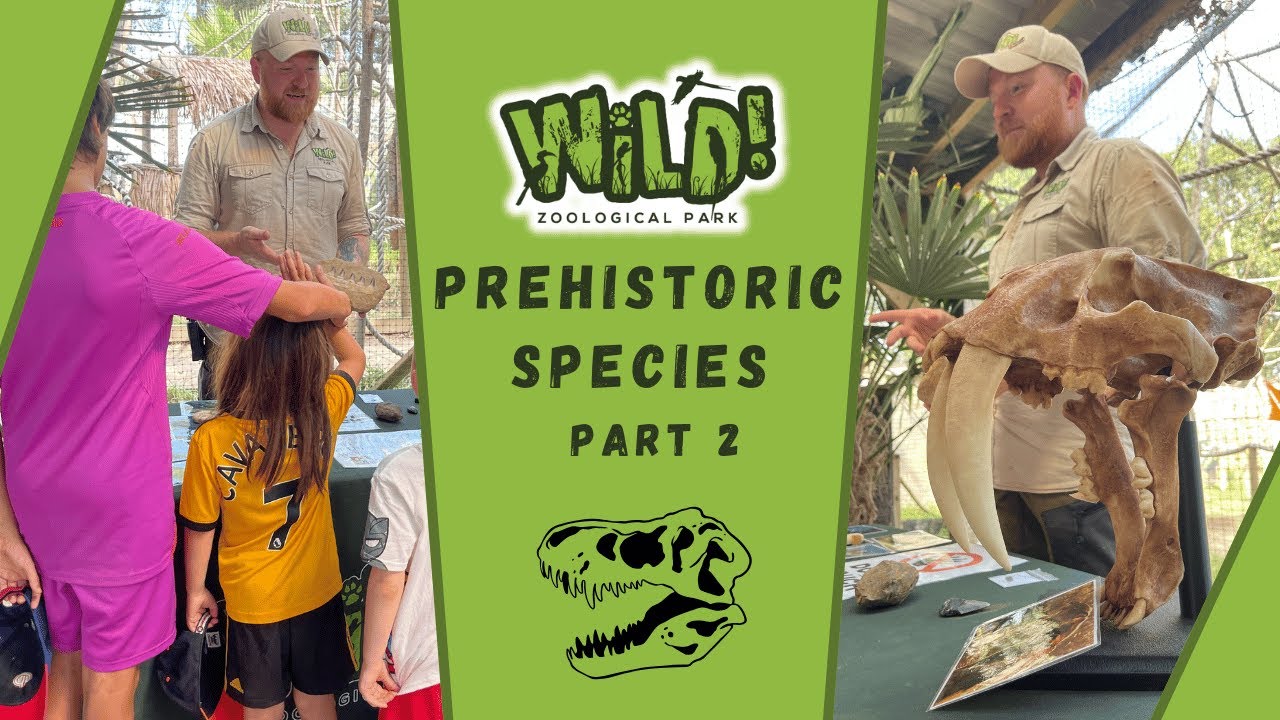 Prehistoric Species - Part 2 | WILD! Zoological Park
