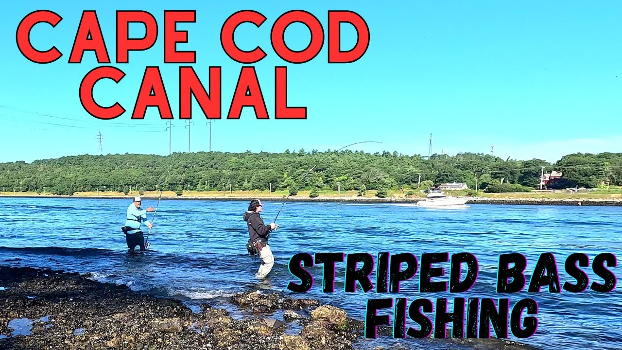 Cape Cod Canal Striped Bass Fishing | The Crew is in Search of Stripers