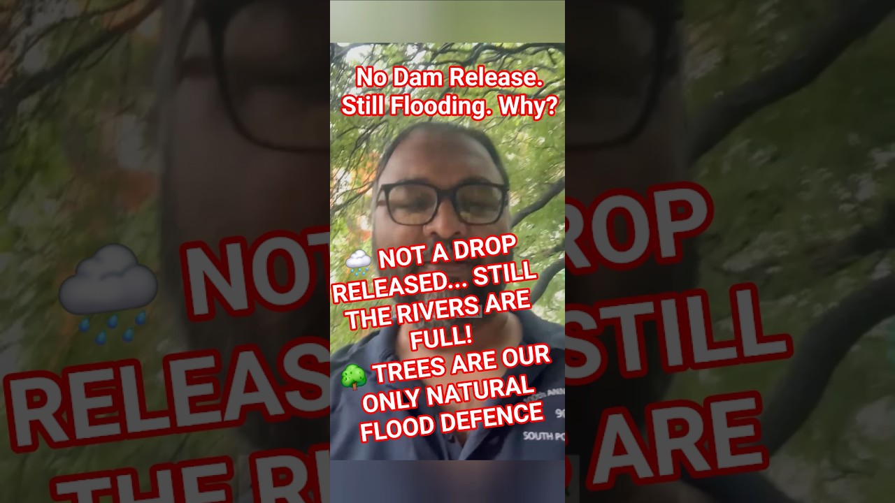 No Dam Release. Still Flooding. Why?#pune #flood #puneflood #chalopmc #savetrees #punekars