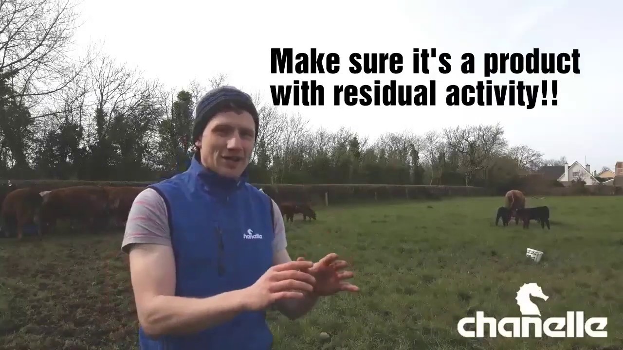 Do I need a turnout dose? - 