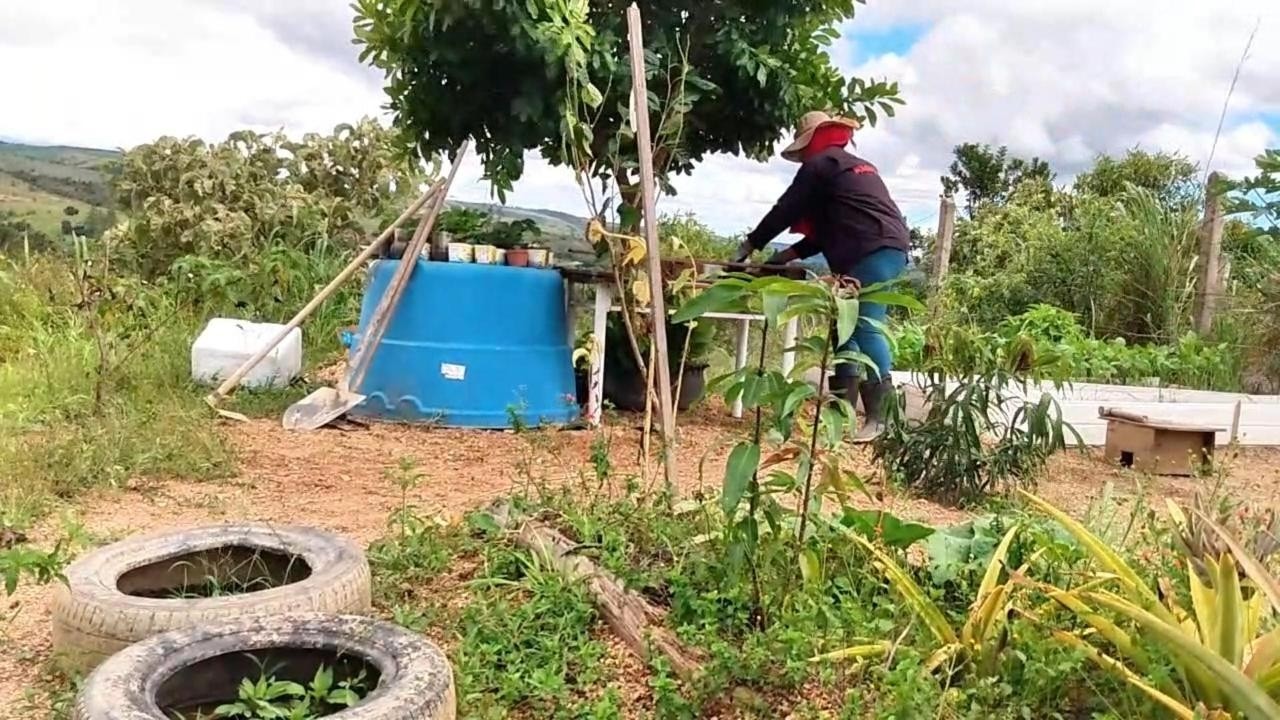 Vivemos Assim Na Roça | Manutenção Na HORTA | SÍTIO DO ZERO! 🌿