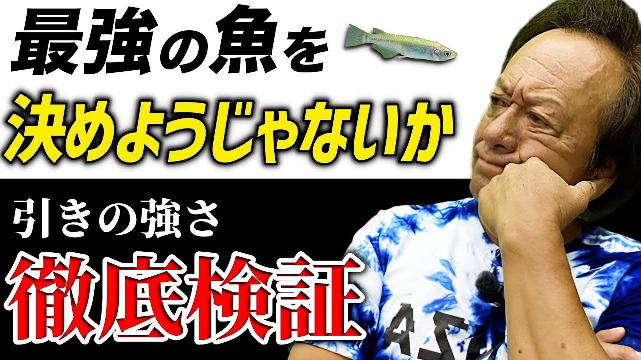【最強の魚決定戦！】同じ重さと条件で仮定した場合、もっとも引きが強い魚は何なのか。／パウンドフォーパウンド・P4P（高画質化）【村田基,切り抜き】