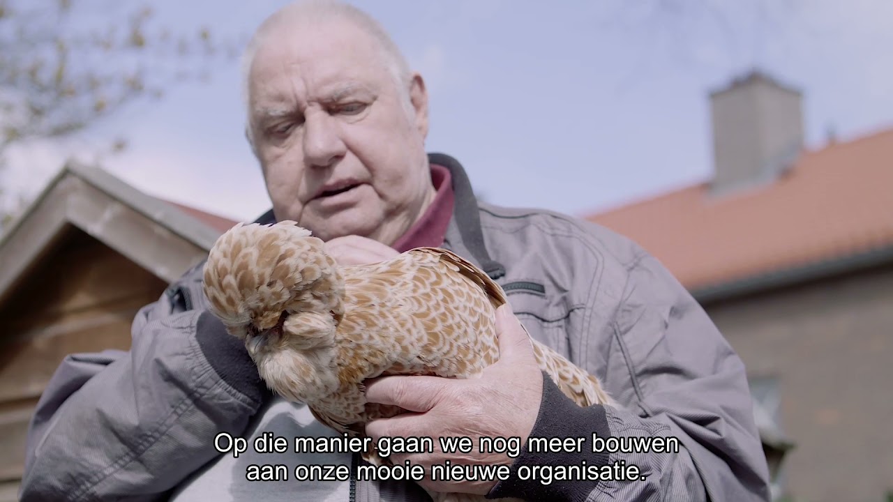 Vanaf vandaag zijn we Silverein
