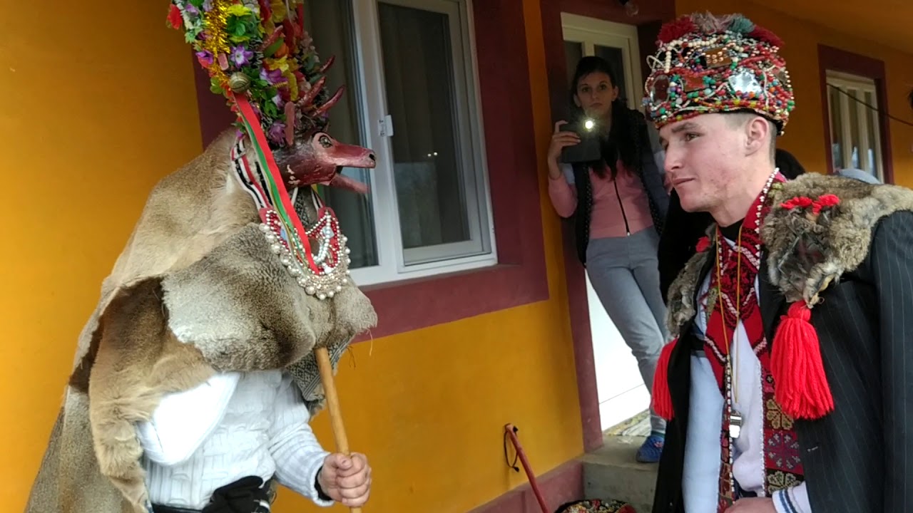 Cerbul de la Carjoaia 2021