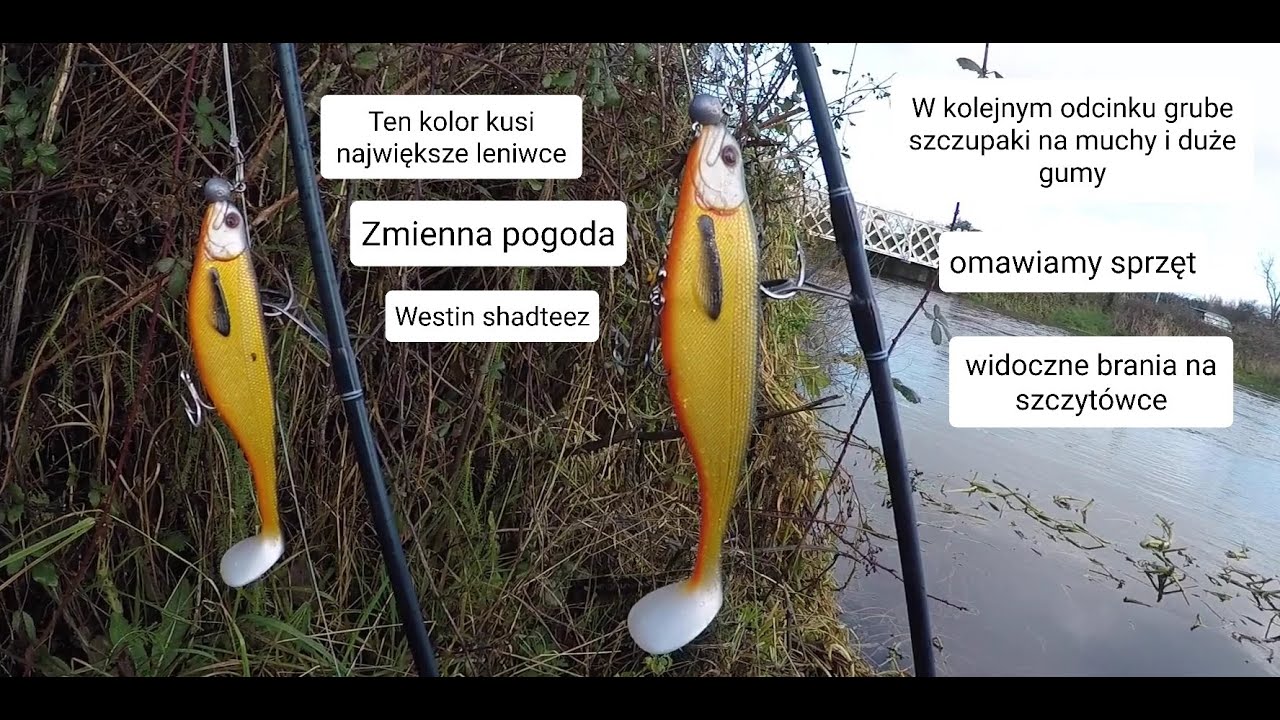 Jak złapać Szczupaka czyli nasze gumy pewniaki // Wędkarstwo