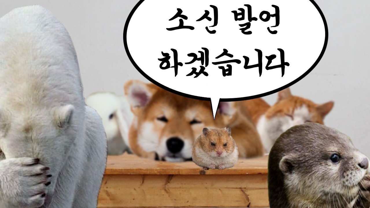 김뿡... 너 정말, **핵심을 찔렀어.**