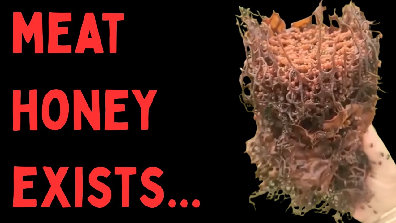 Bees Have Unlocked Meat Honey...