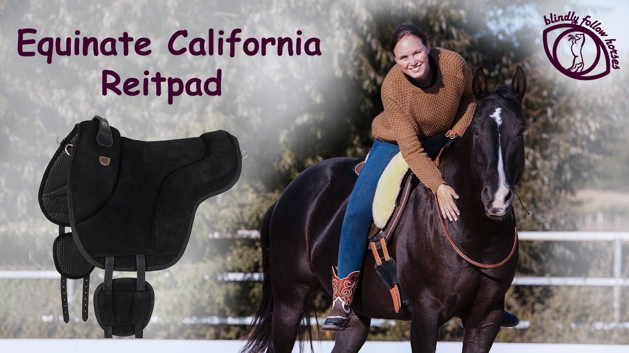 Reitpads im Vergleich Teil 7: Equinate California Reitpad