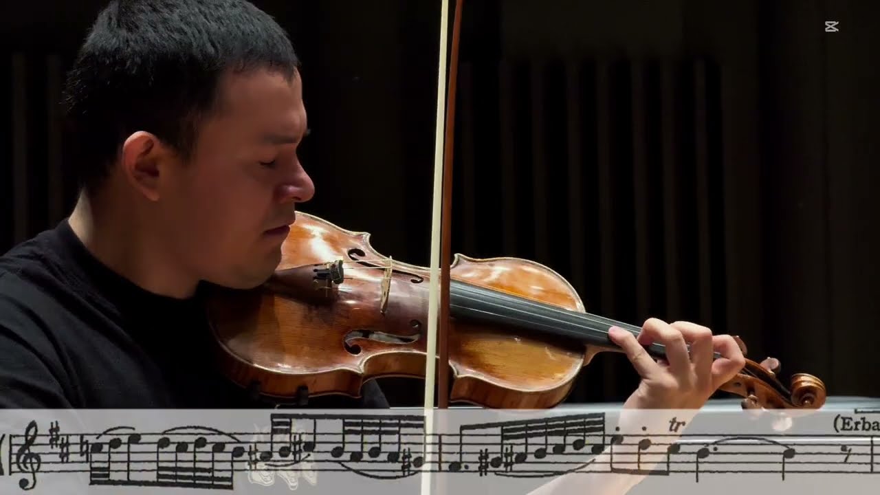 Bach - Erbarme dich Violin Solo with Score