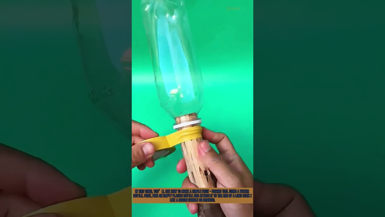 DIY Fruit Picker: Turn a Water Bottle into a Harvest Tool