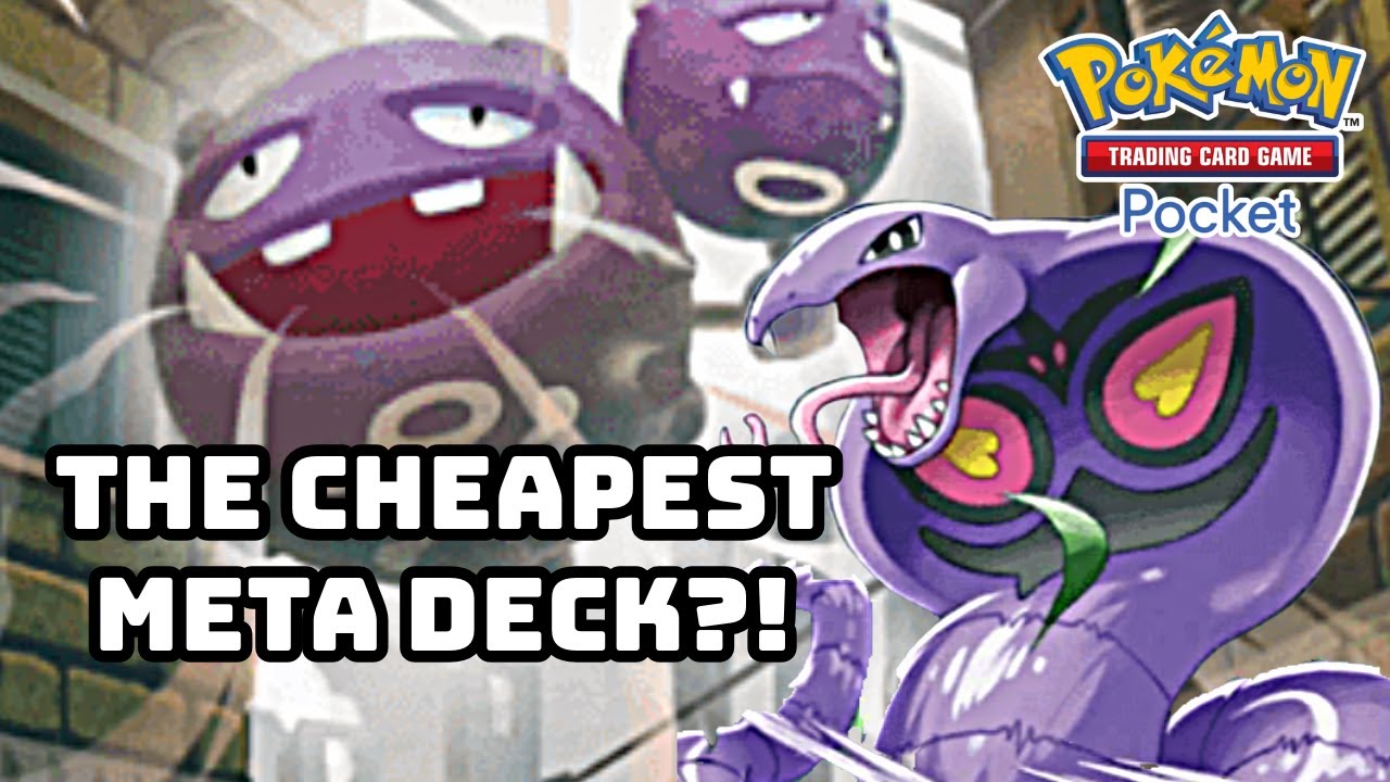 TAKING DOWN META DECKS WITH OUR CHEAP TEAM ROCKET BUILD!