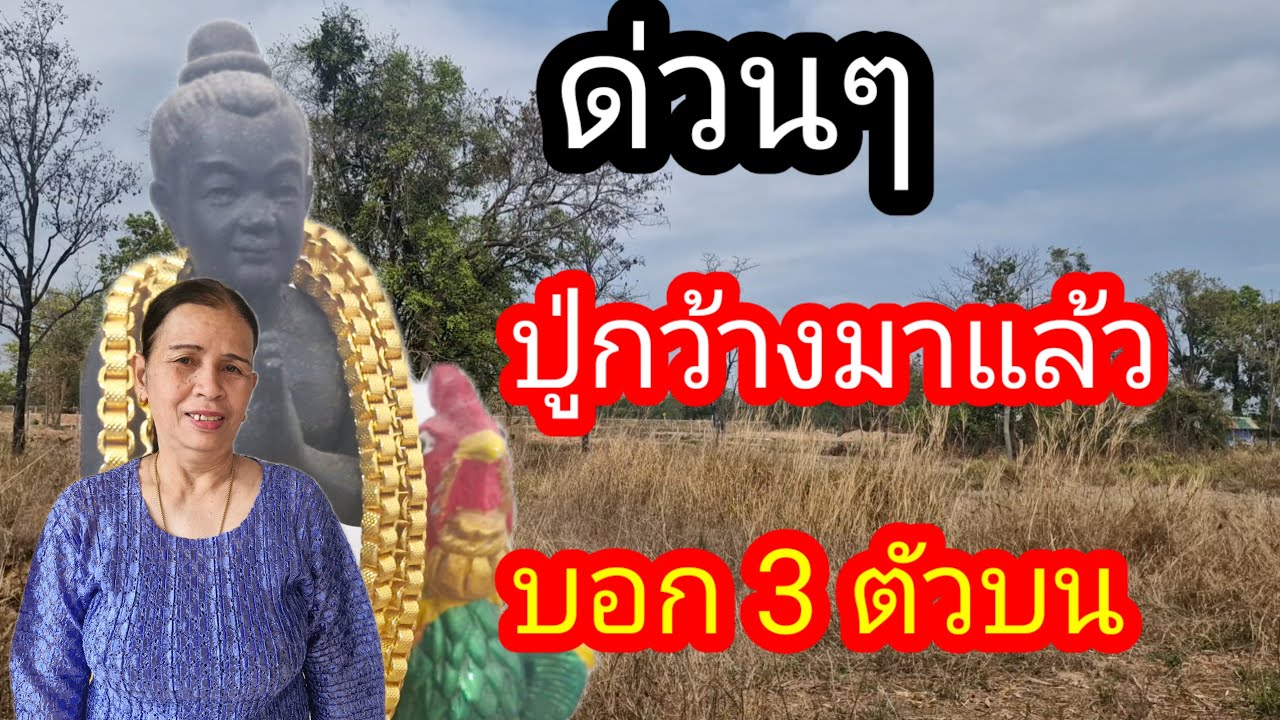 ผู้เฒ่า..พารวย,, Channel กำลังถ่ายทอดสด! ด่วนปูกว้างมาแล้วบอกเลข 3 ตัวบน